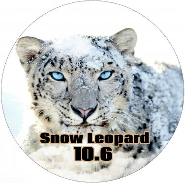Snow Leopard Installer